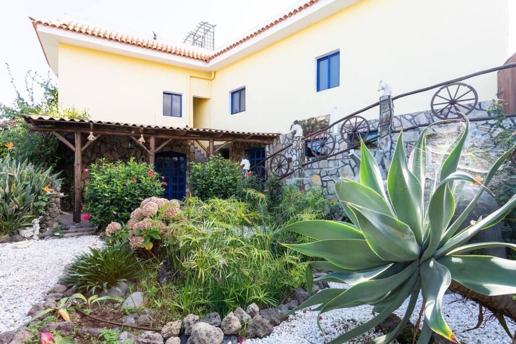 Tenerife Apartment Dulcynea With Terrace And Garden 600M2 With Ocean And Teide View Icod De Los Vinos Exterior photo